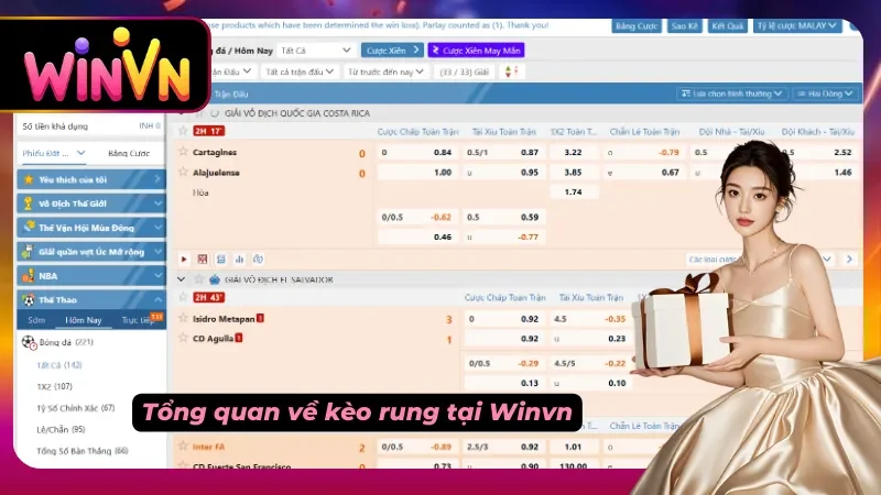 Tổng quan kèo rung tại Winvn