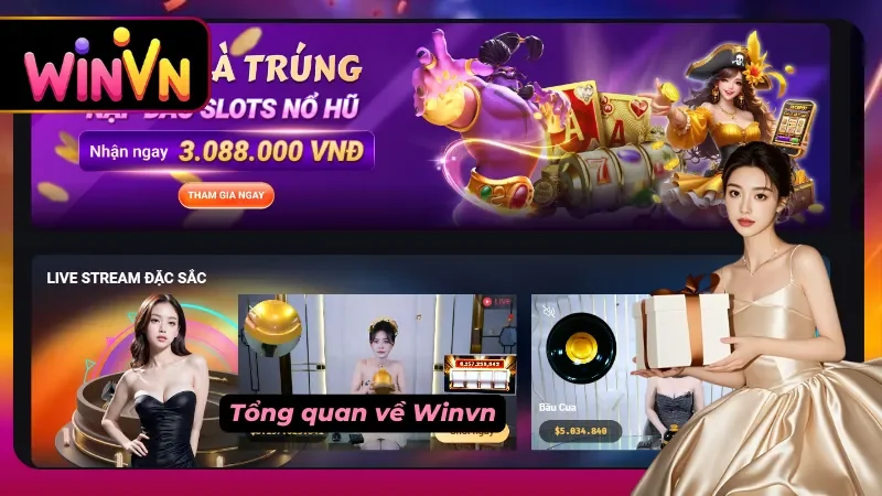 Tổng quan về Winvn Lừa Đảo? (Sự thật & Phốt)